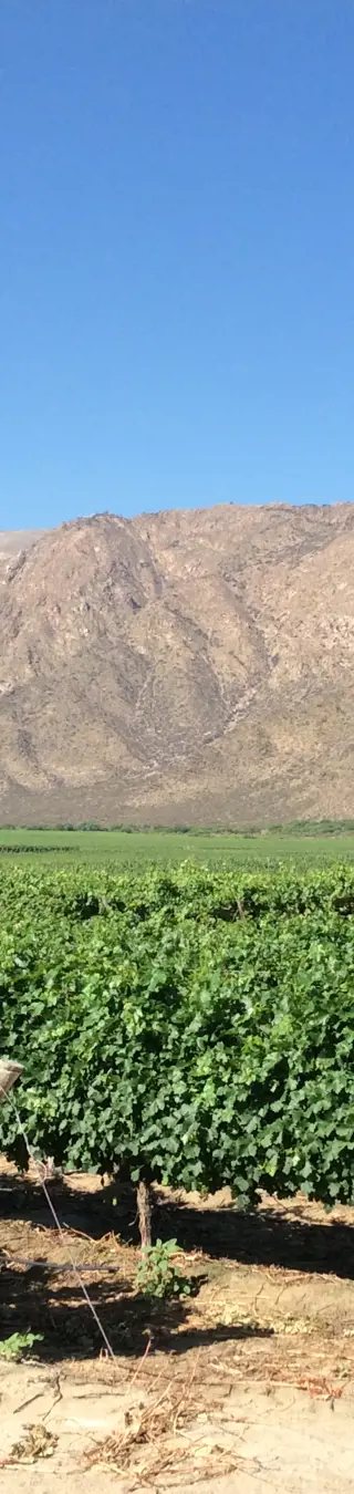Edle Tropfen im höchsten Weingut